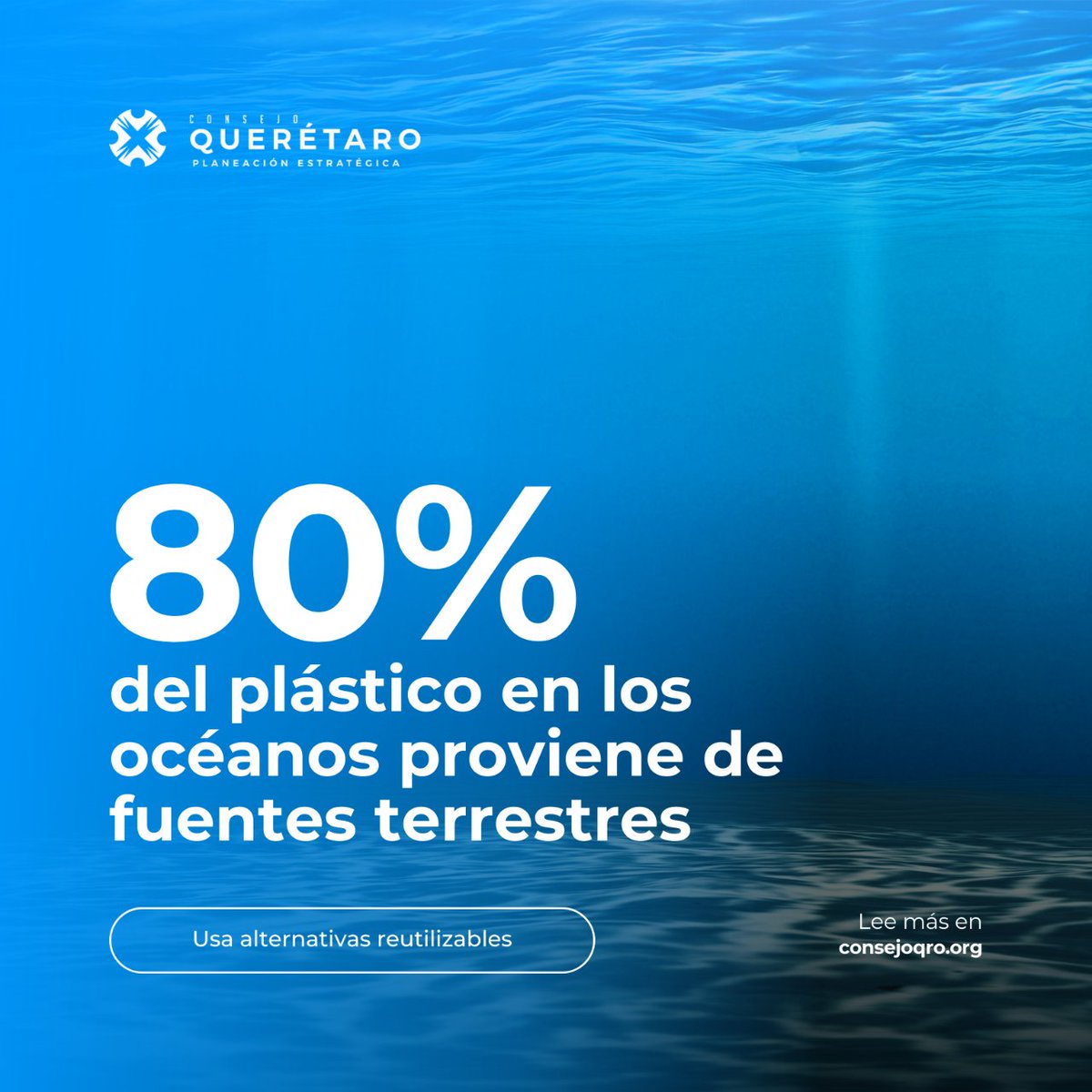conseqro's tweet photo. Hoy es el #DíaInternacionalLibreDeBolsasDePlástico, ¡reflexionemos sobre nuestro consumo y optemos por alternativas reutilizables! 
#Conseqro https://t.co/Ea41ozp7k7