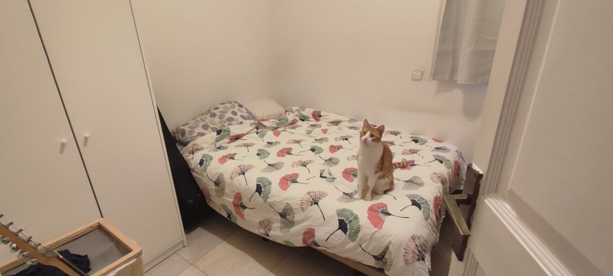Goodie_94's tweet photo. Estamos buscando compi de piso para una habitación interior de 6m², seria a 320€ al mes.  
El piso esta situado cerca de Sagrada Família y el Sant Pau de Barcelona, conexión con líneas L5 y L2 de metro y tmb buses! +info md

Me ayudáis difundiendo este Tuit porfi? 🥹 Gracias!🥰 https://t.co/8H2ETNJIyL