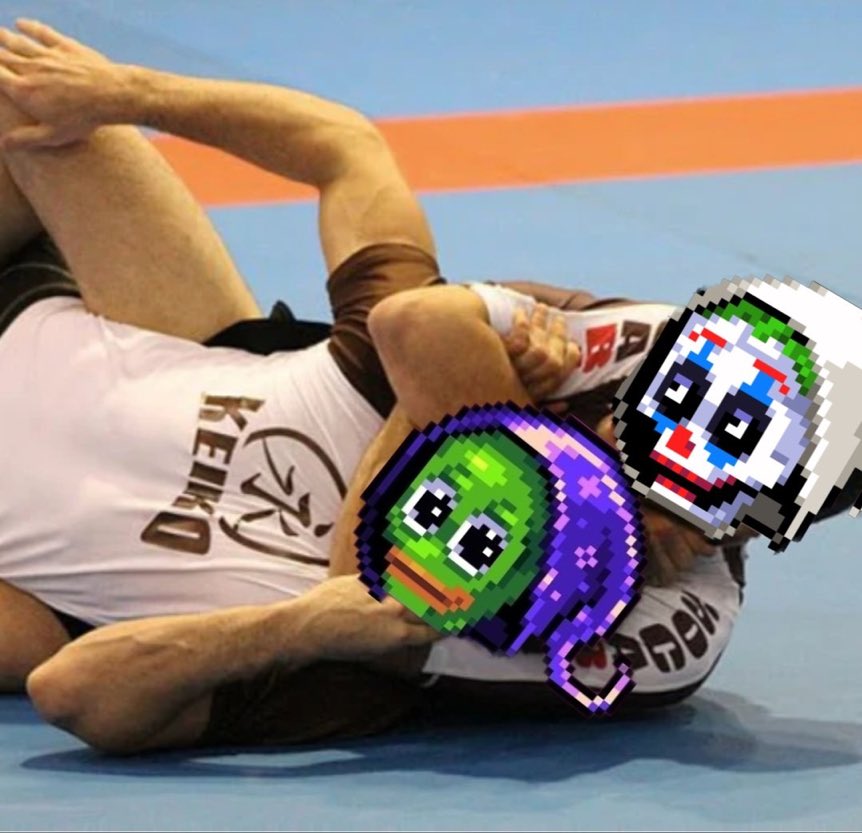 Actual footage of me wrestling everyone in <a href="/reepzNFT/">reepz 💀</a> for their reepztardios!!