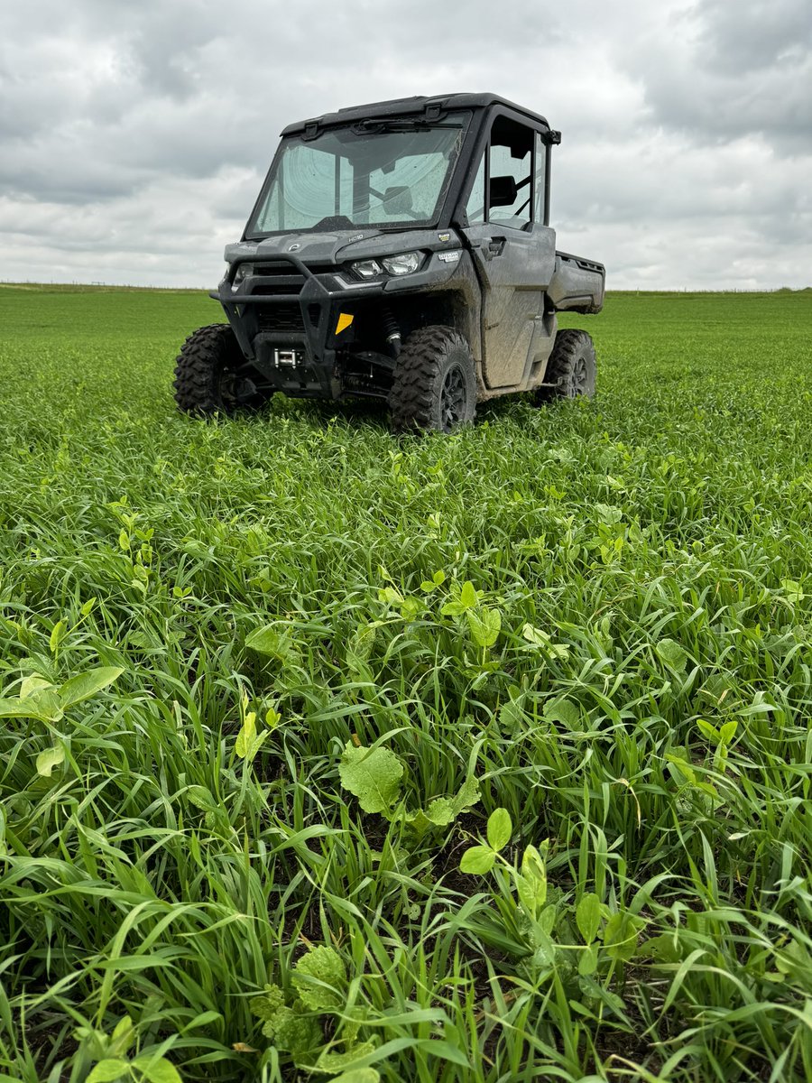 Jade Almberg tweet media