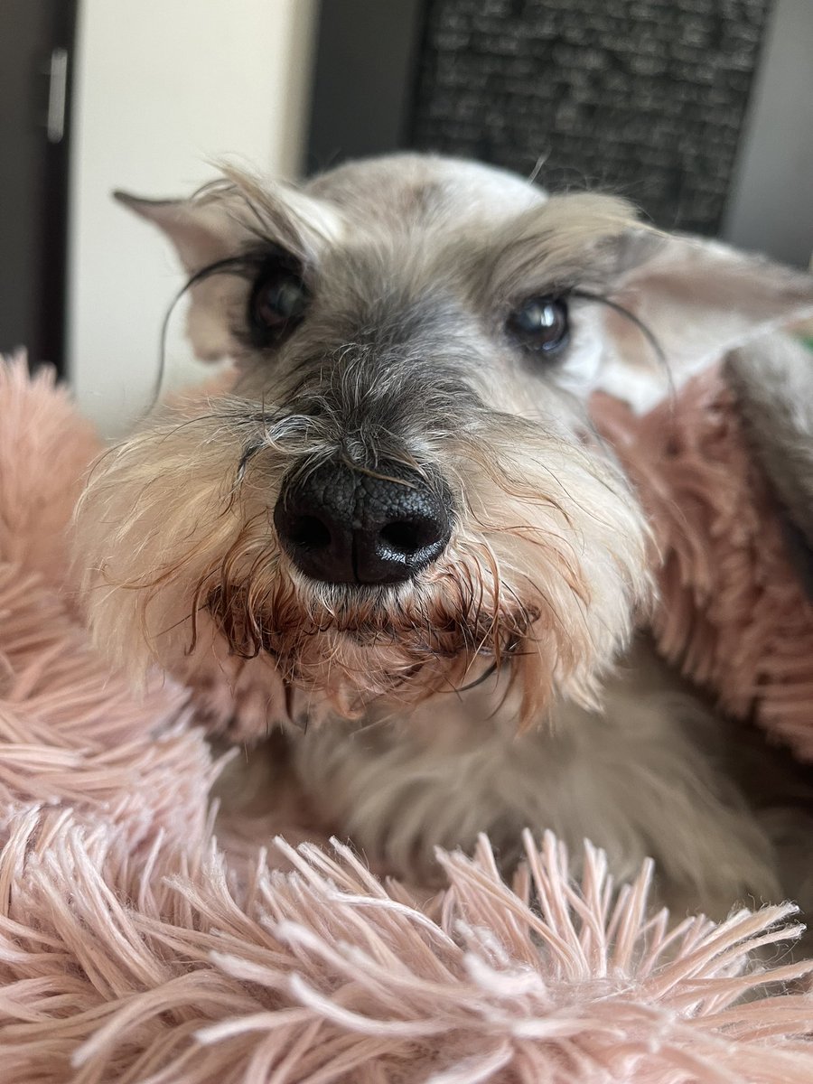 Regi Segura ❤️🔥 tweet media