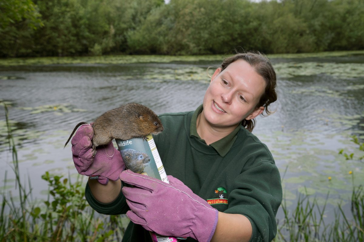 Nature TTL tweet media