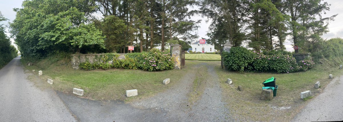 Frances Hill tweet media