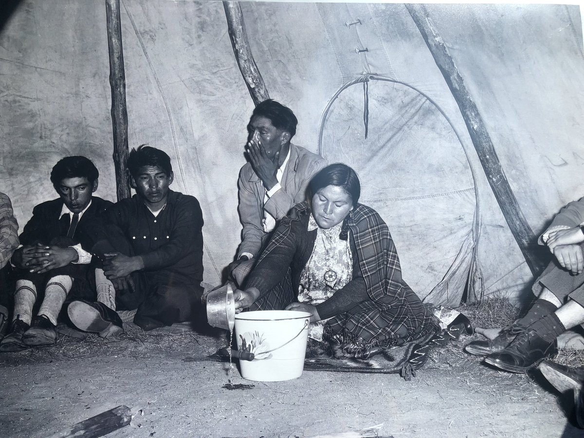 Dr Zoë Dubus tweet media