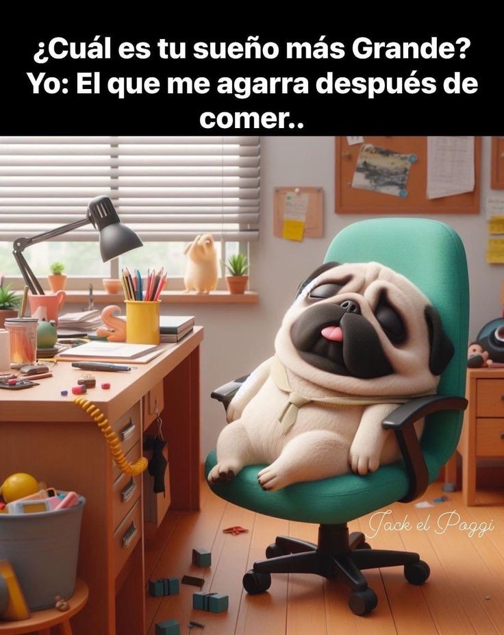 LeTempDu's tweet photo. Yo en este momento
#sleep #napneeded 
El sueño de mi vida #dormir en horas q hay q trabajar https://t.co/oa9wAbXpe9