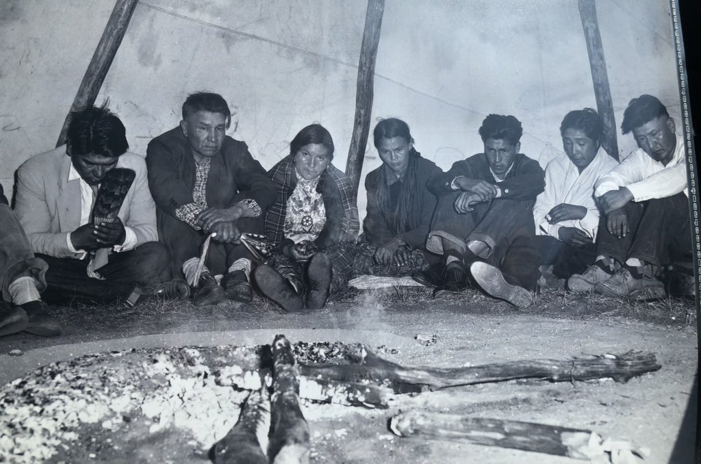 Dr Zoë Dubus tweet media