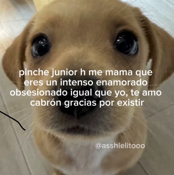 te amo junior h