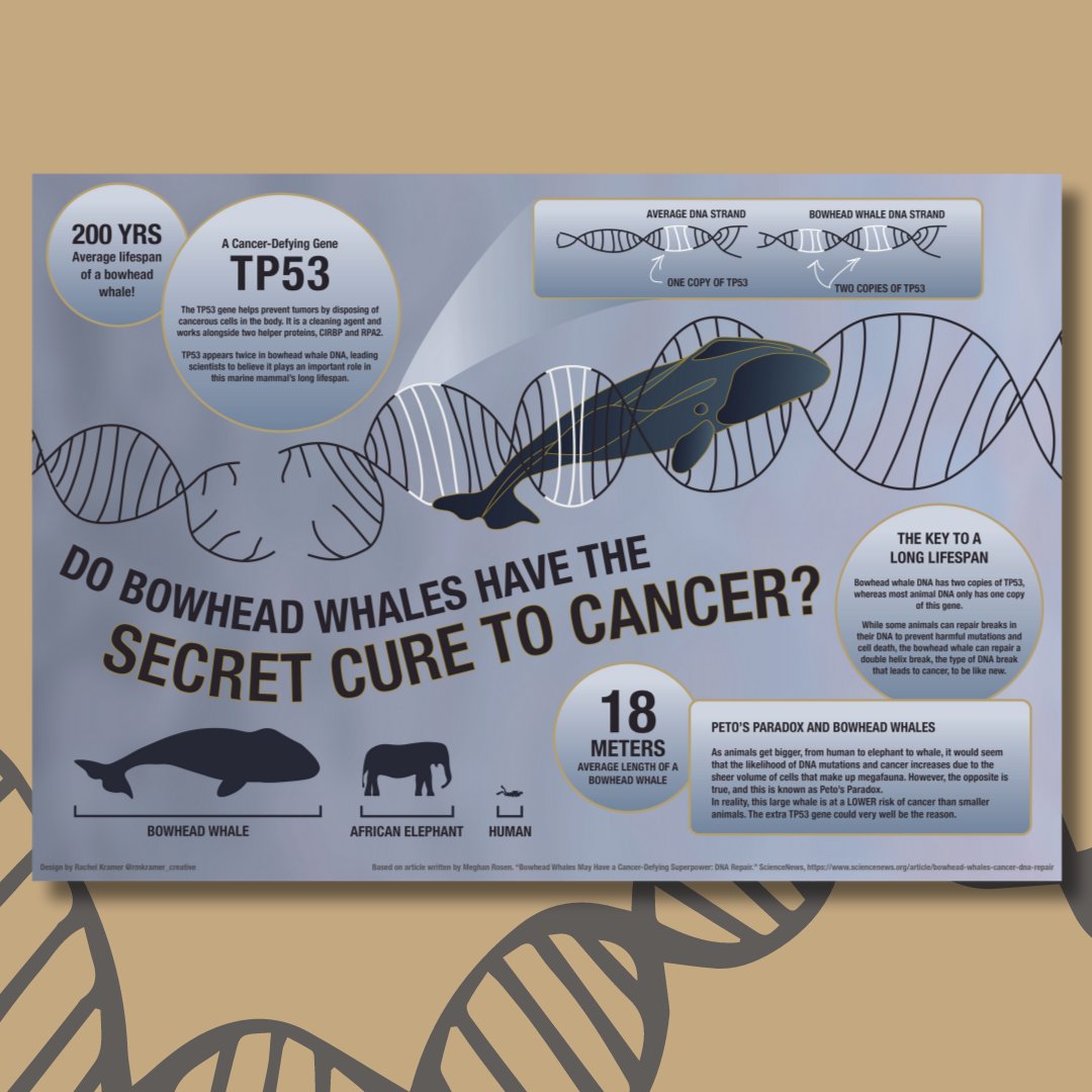 Emerging Creatives of Science tweet media