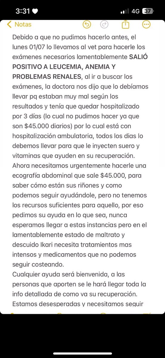 altt28's tweet photo. Favor compartir si es que no pueden aportar❤️‍🩹 https://t.co/OjwSYmr6Kt