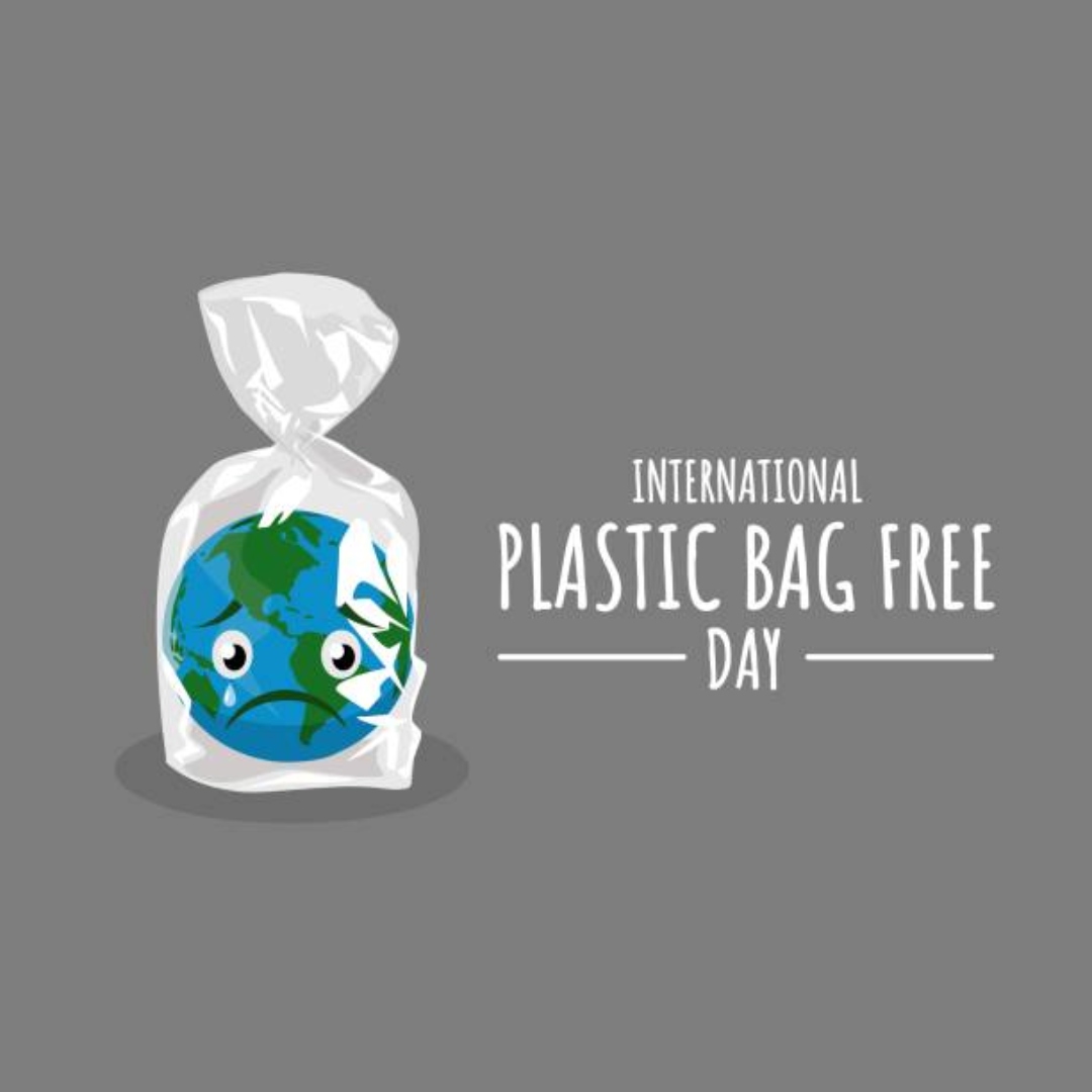 ScottXPierce's tweet image. International Plastic Bag Free Day, celebrated on July 3rd, is a global initiative that aims to eliminate the use of plastic bags. 🛍️

#InternationalPlasticBagFreeDay #Holiday #July3rd #plasticbag #plasticbagfree #awareness
 #RealEstate #scottpierce