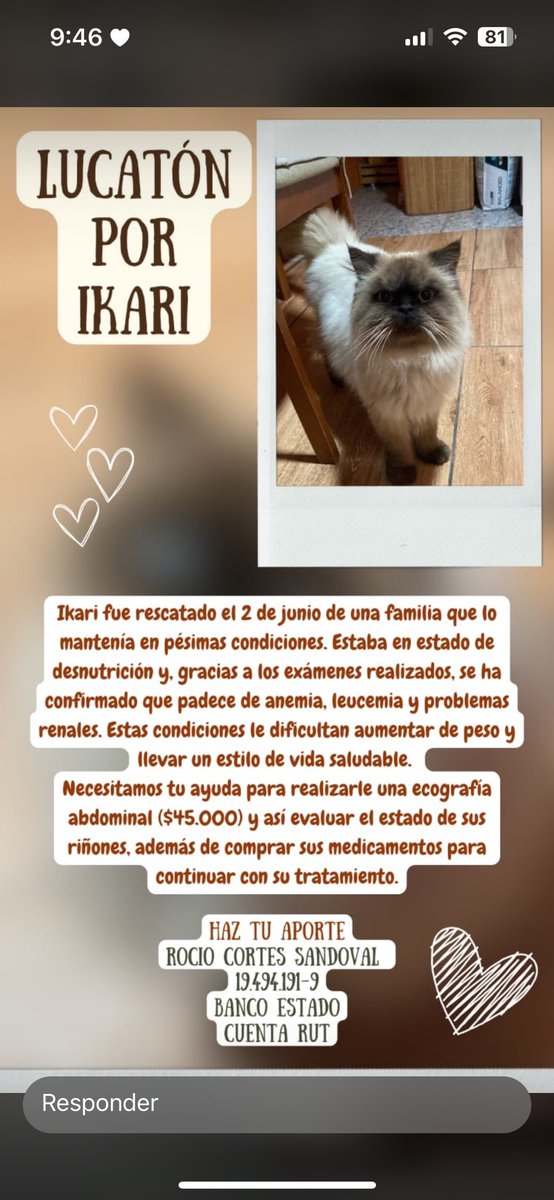 altt28's tweet photo. Favor compartir si es que no pueden aportar❤️‍🩹 https://t.co/OjwSYmr6Kt