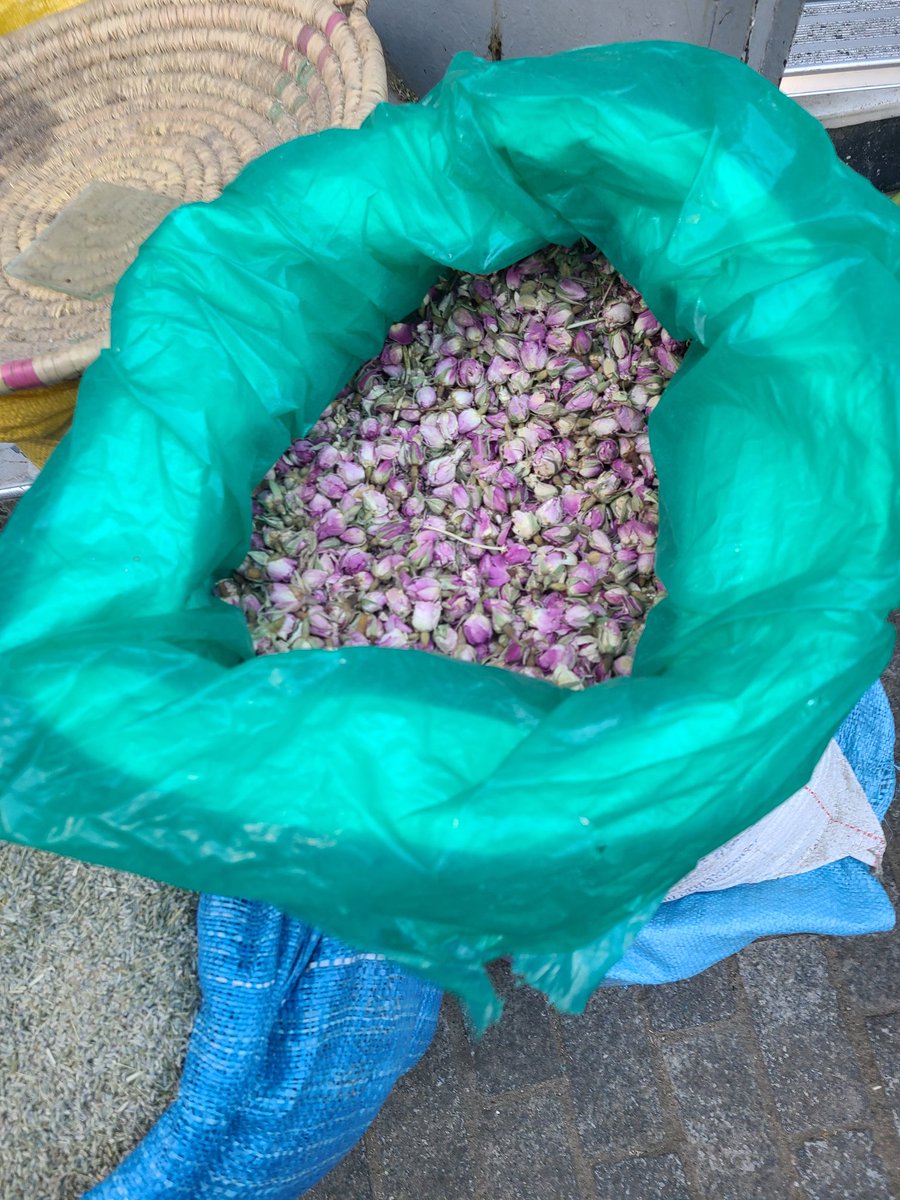 StBridgit's tweet image. Had a great time in the Medina in Tangier and visiting Cape Spartel at the Strait of Gibraltar. Morocco was super fun, highly recommend a visit 🇲🇦🥰