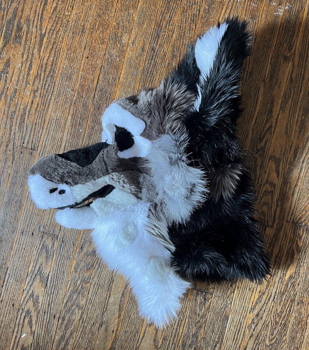 Corgilope tweet media