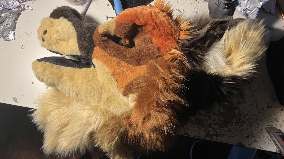 Corgilope tweet media