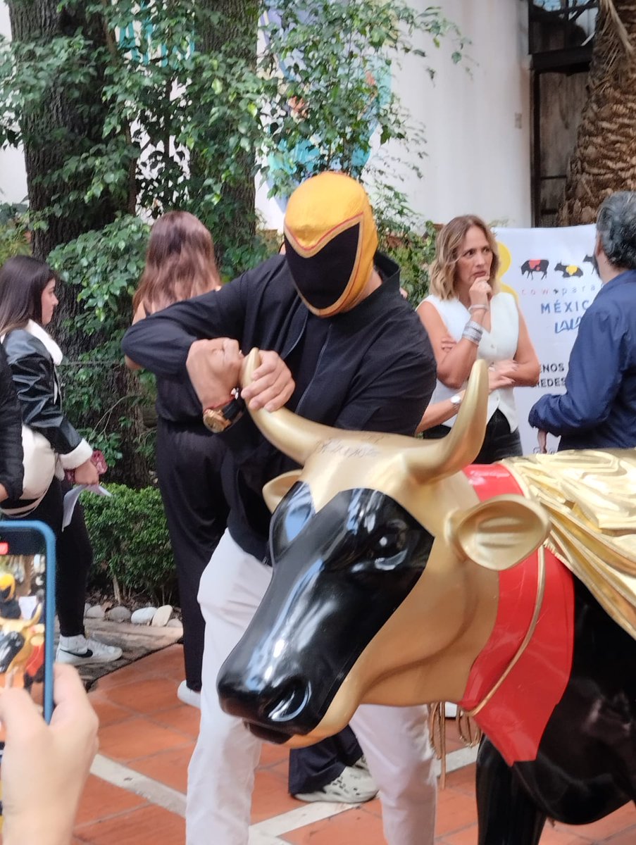 diario24horas's tweet photo. ¡El CowParade honra a Tinieblas Jr!
El famoso luchador se unió a la causa de la exposición más popular de la Ciudad, CowParade México.
@tinieblasjrfull se dijo honrado de que su figura haya quedado plasmada en una de las 50 vacas de fibra de vidrio en tamaño natural que realizó el artista Juan José Díaz Infante.

https://t.co/gTxKHvR9jA
📷: Sandra Aguilar Loya