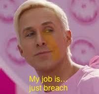 Red teamers: