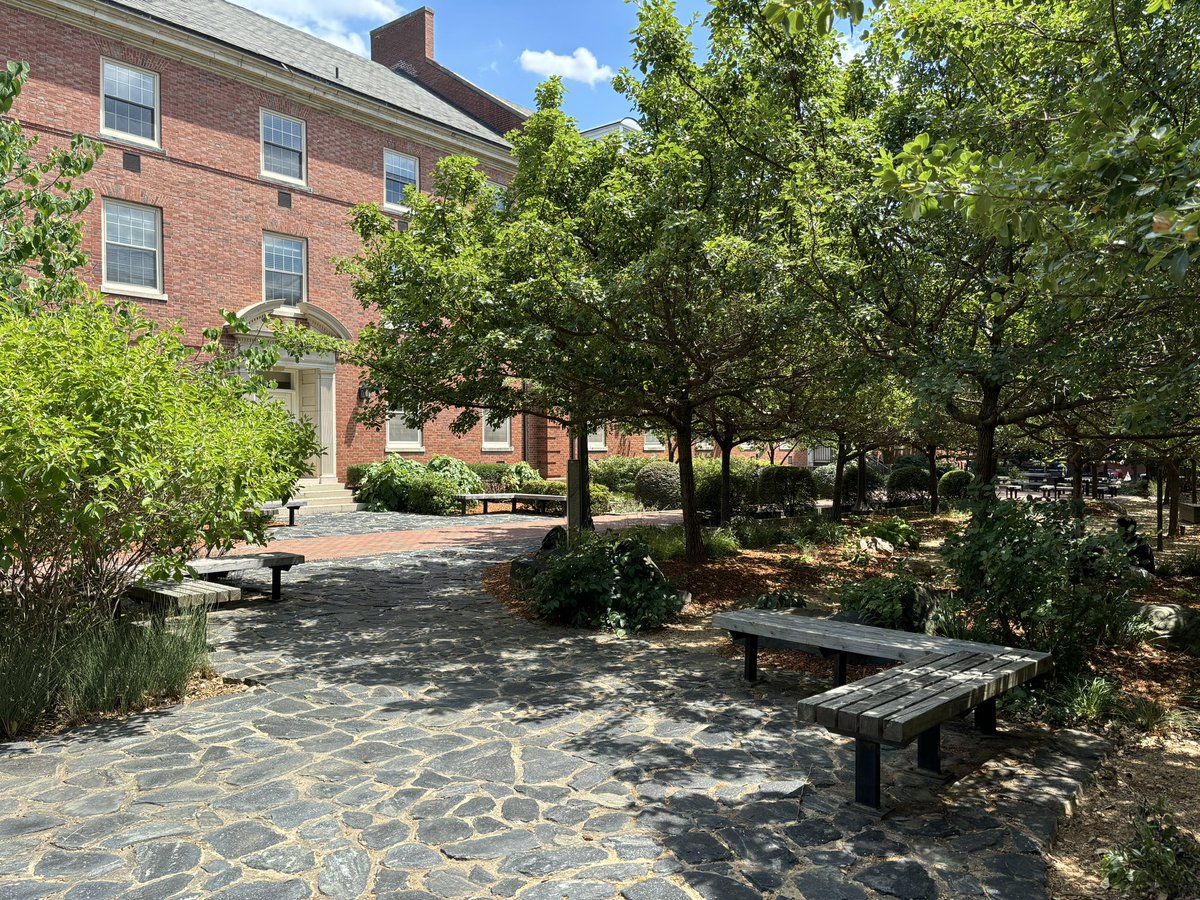 NCStateStart's tweet photo. Summer is here and so is our Summer Study Spot! Looking for a space close to Tucker to study in beteween classes? Check out the Arist Backyard! Located between Turlington and Owen, this spot is an oasis full of beautiful greenery with plenty of shade and seating options 🌳 📓 https://t.co/GZUQ7ulcER