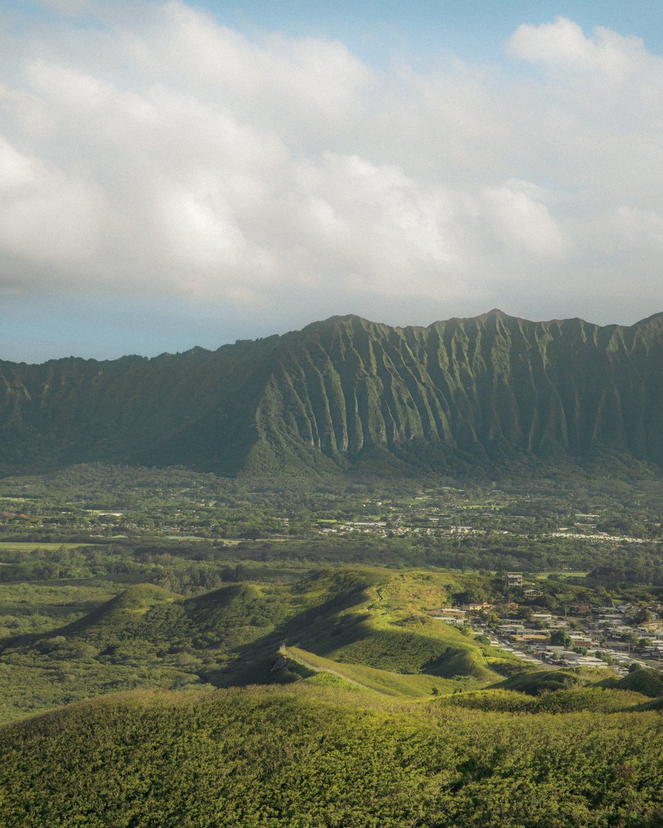 JennVisuals's tweet image. photographs I took in Oahu