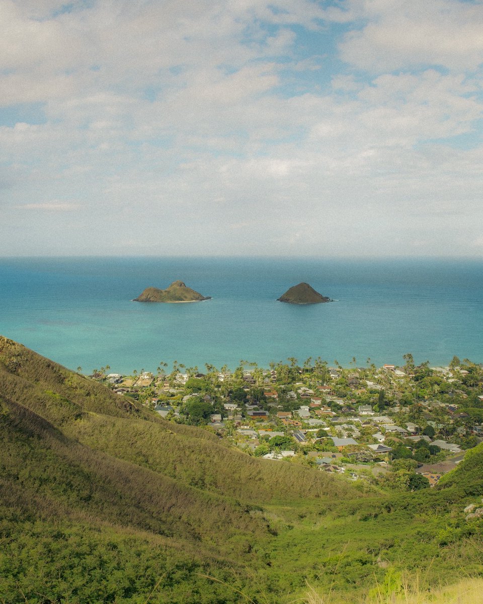 JennVisuals's tweet image. photographs I took in Oahu