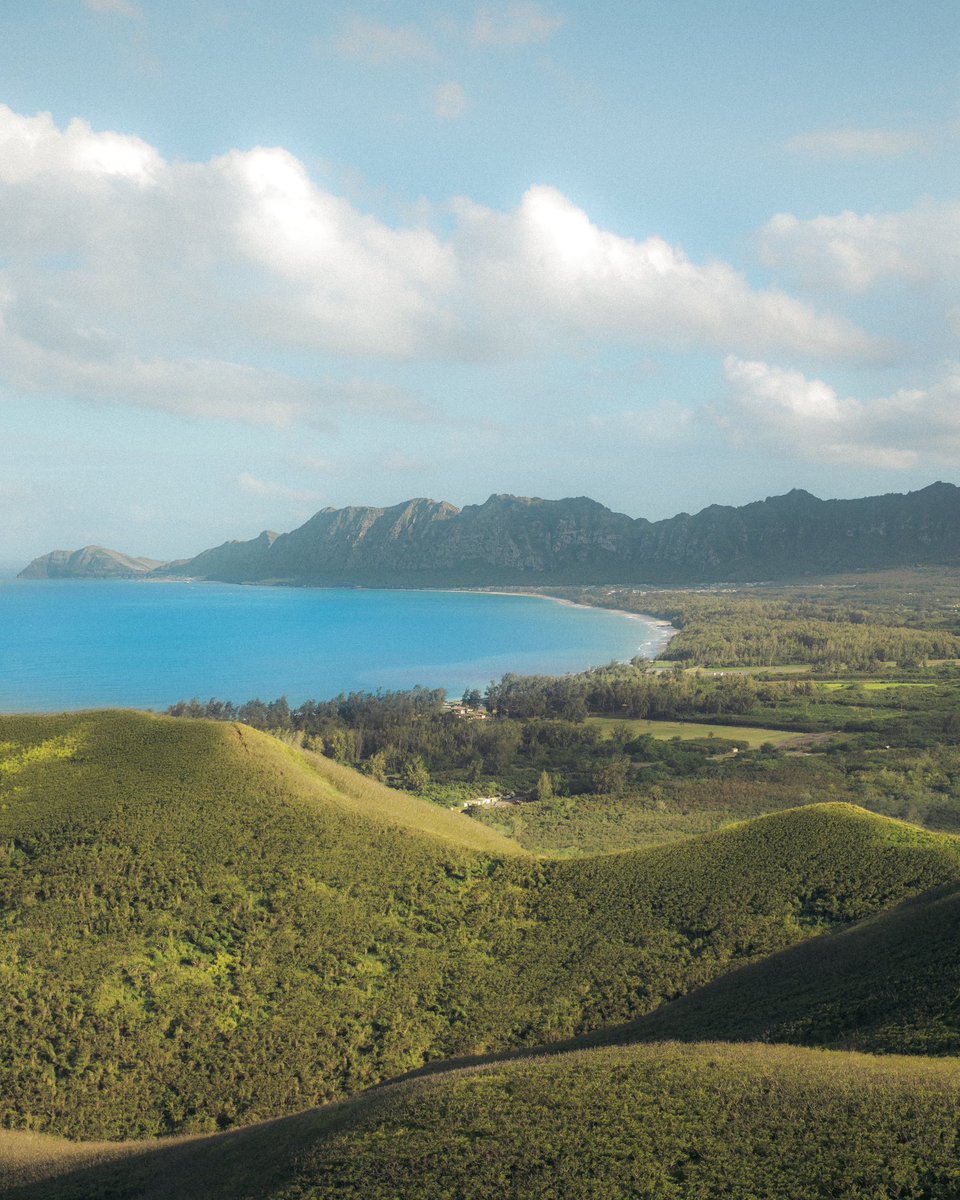 JennVisuals's tweet image. photographs I took in Oahu