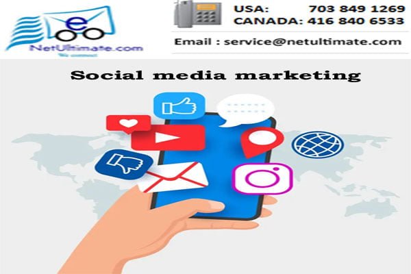 netultimate's tweet photo. We can take your business online to absolute new heights !! Contact Netultimate - Toronto Web Development Company to build / rebuild / fix your E-Commerce Web portal now !! https://t.co/ARxZk3xLyt https://t.co/PIVa2tfWQu