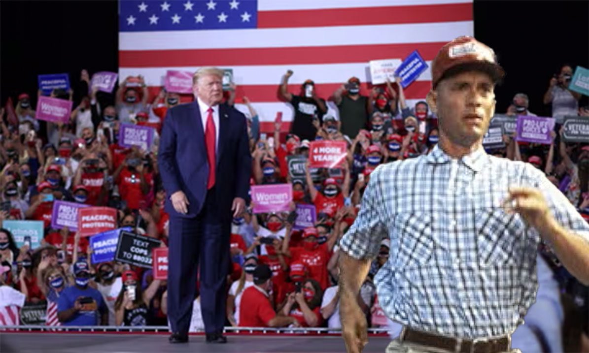 GUMP (@gump_onsolana) on Twitter photo 