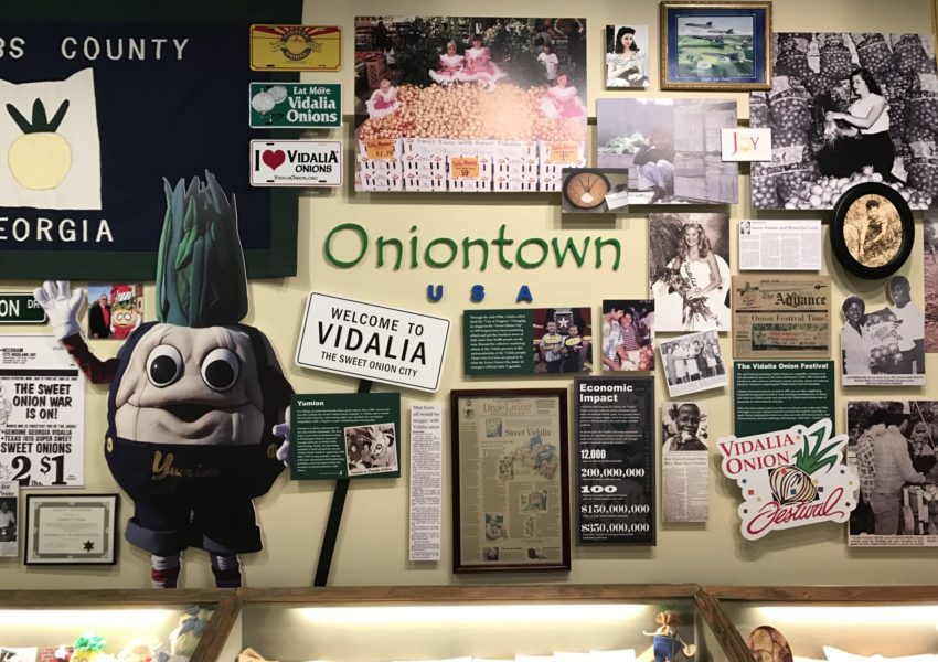 Today on #Gravy: the story of the Vidalia onion’s popularity, born of clever marketing, government wrangling, technological innovation + global trade.

southernfoodways.org/gravy/ironies-…

Photograph by Tyler Pratt.