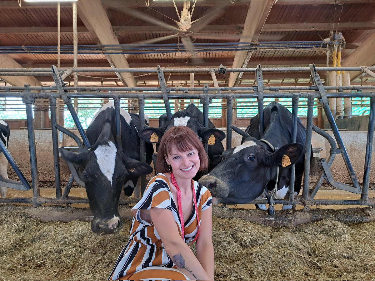AngelaCosta_IT's tweet photo. Cows, project partners, my team, and me... what else? @PrimaProgram 🌱
Stakeholders on board: @Danone &amp; @FIL_IDF. So thrilled to be a Coordinator for the 1st time! #dairy #milk #sustainablefarming #buffalo #cow https://t.co/zbzCLtYoI0