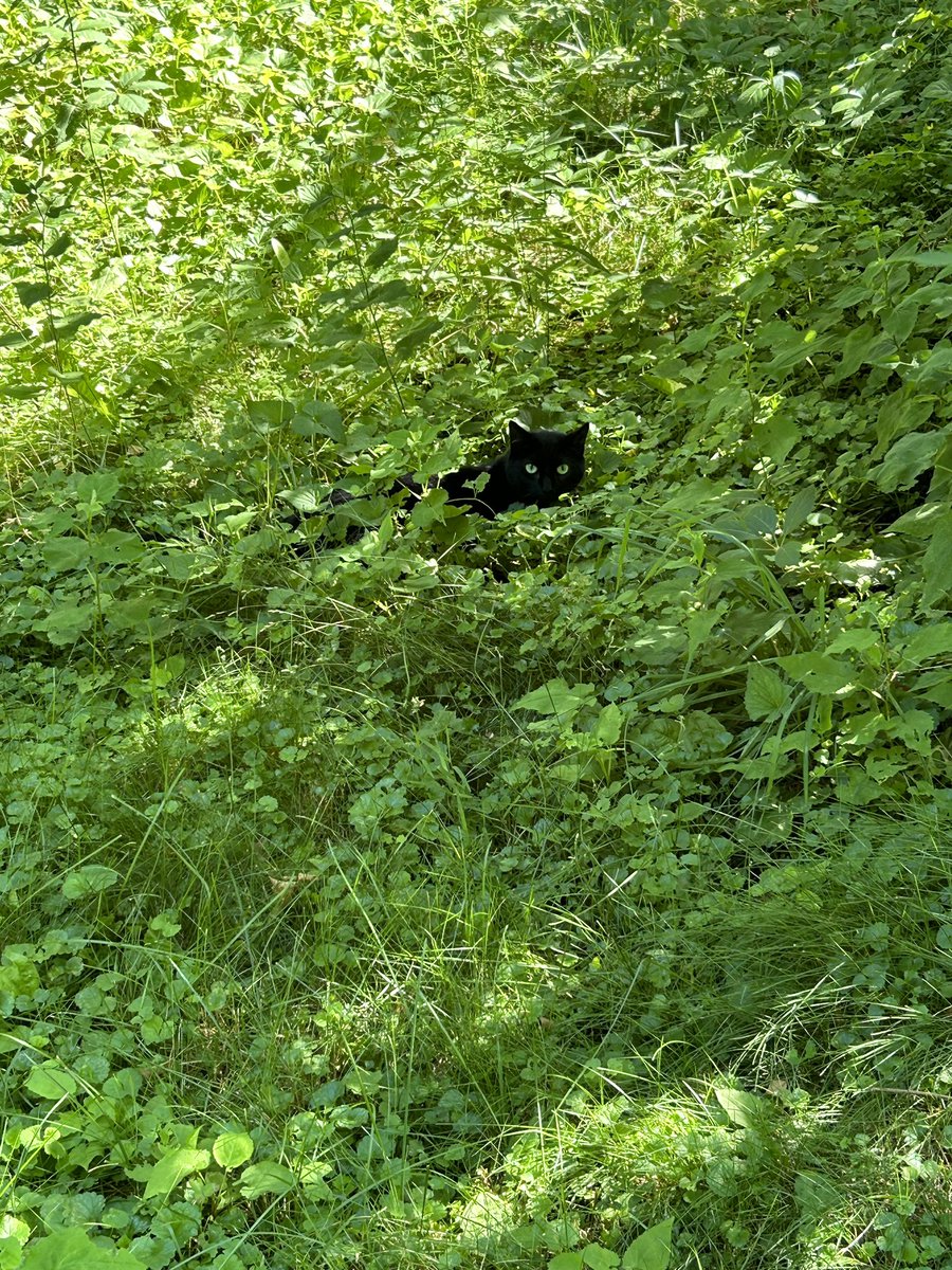 I… think I stumbled into the first book of a fantasy trilogy?