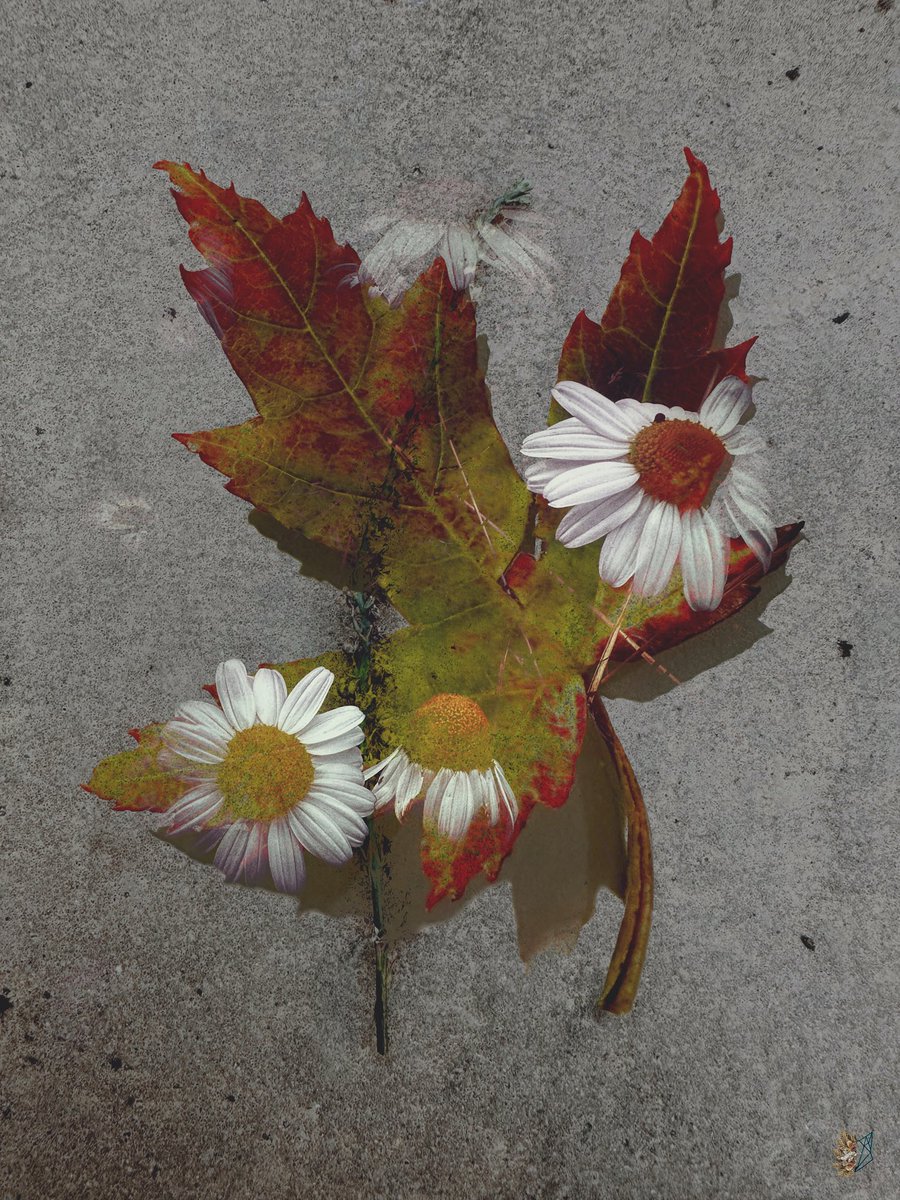 Everlasting Heart

Take my love and hold it in your heart, until we meet again…

8/10
5 $XTZ

#photography