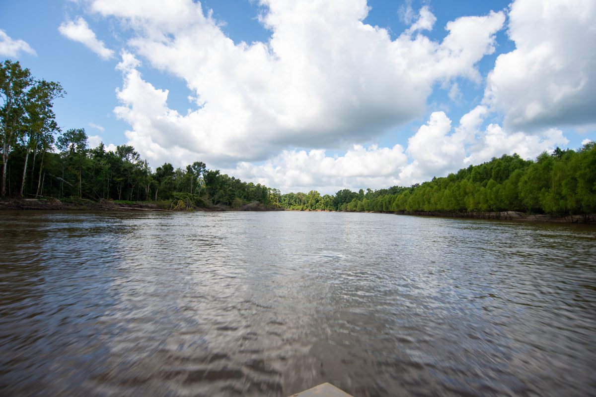 Hitting the water this holiday weekend? 😎

You have the power to prevent drowning &amp; other emergencies:

🔴 Leave glass bottles @ home
⚪ Have an adult be a “water watcher” to supervise children
🔵 Avoid alcohol while on the water

Happy #IndependenceDay from #BigThicket