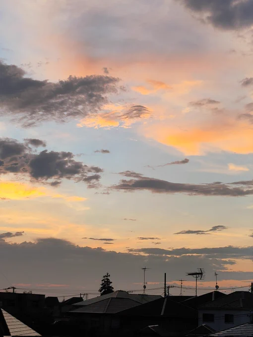 おはようございます( ੭ ・ᴗ・ )੭.*  4時半くらいの空 これから、暑くなりそうですね… 午前中は宅配待ち  朝から小さいキイロテントウムシが窓辺にやってきました なにか良い事ありそうな( ◜ᴗ◝)  熱中症に気をつけて 良い1日をね☆。.:*・゜  #イマソラ #空のある風景