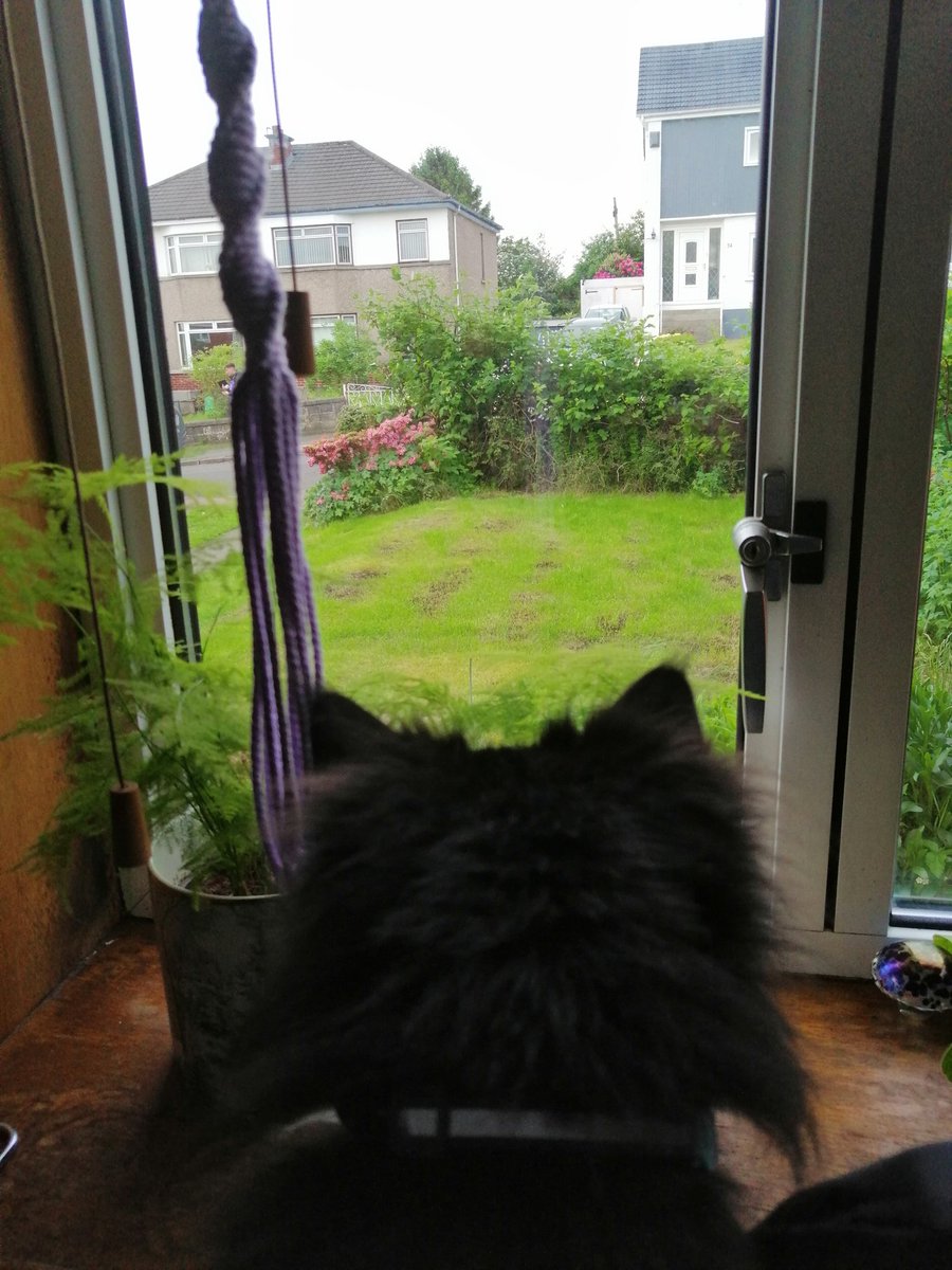 maureen_sharkey's tweet photo. Mummy please make the bad weather go away. https://t.co/cXsj5Jgg8c