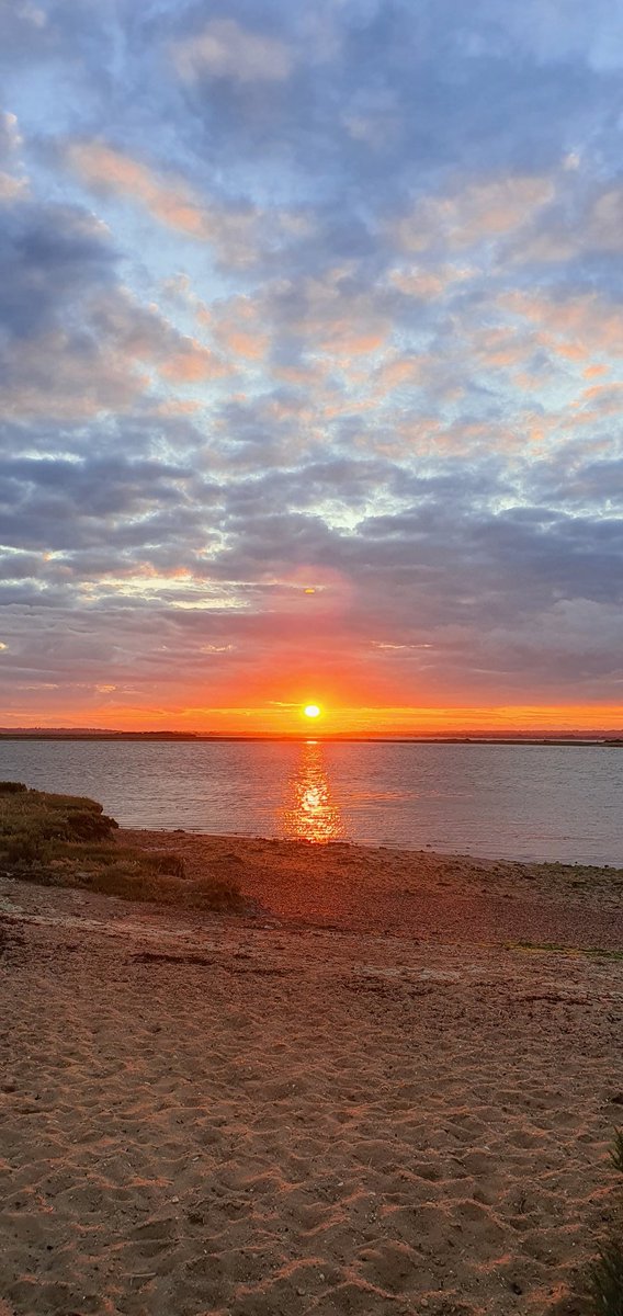 Ruth Everett tweet media