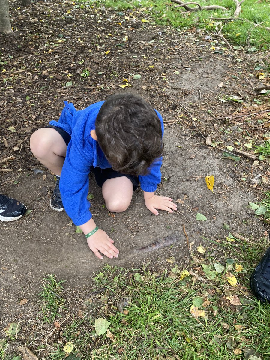 JenkinsMrsRJ's tweet photo. There have been some strange happenings in our classroom this week!🤔 Surely a dinosaur hasn’t made a visit to our classroom?!🦖We are on a mission to investigate! 🔎 @SychdynSchool https://t.co/ssqbAVWseZ