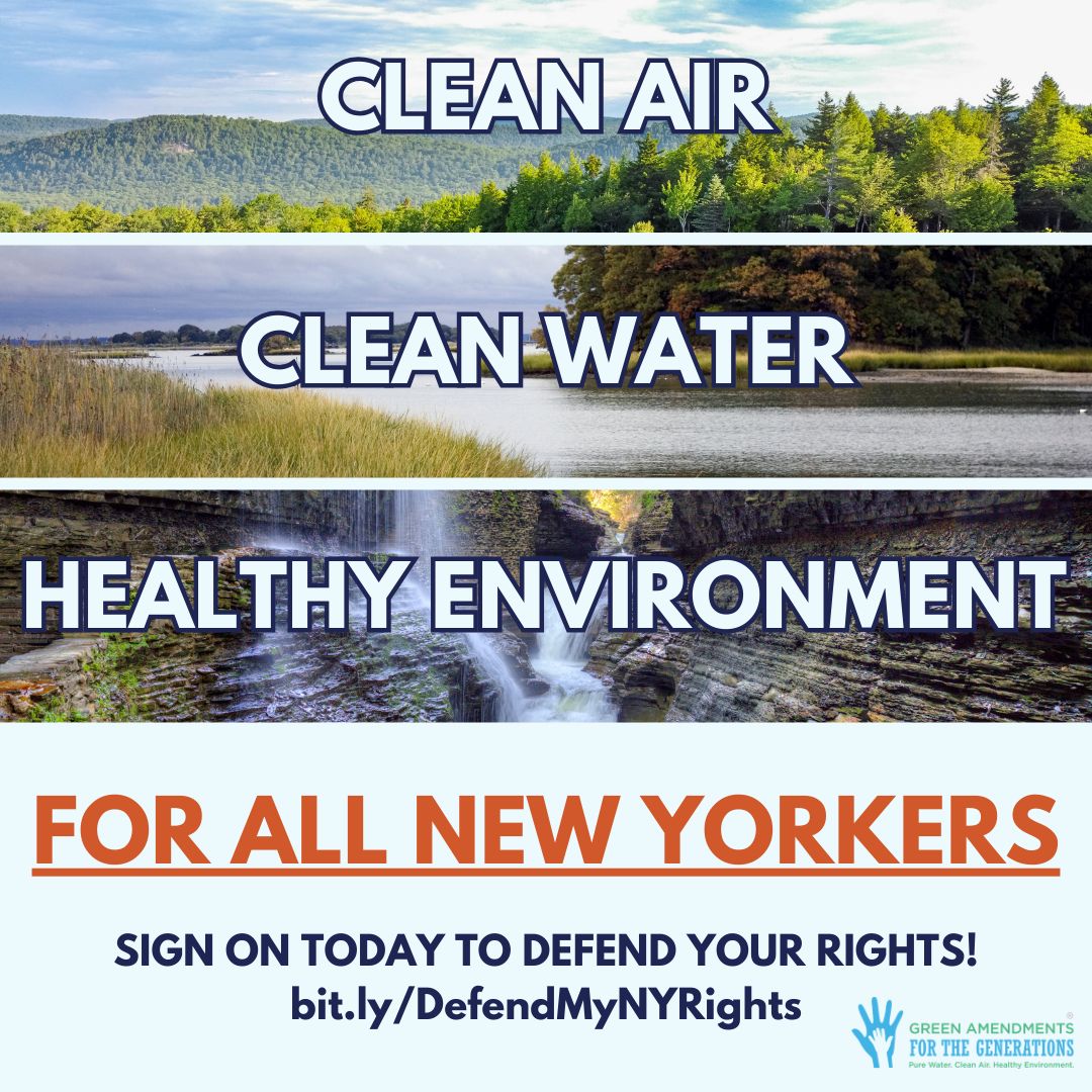 Join us in Albany, New York on Friday, July 12th, 12:00pm noon for a March and Rally at the state capitol building. bit.ly/GANYrally
And make sure to sign the letter that we'll be delivering to our gov officials to uphold Article 1, Section 19! bit.ly/DefendeMyNYRig…
