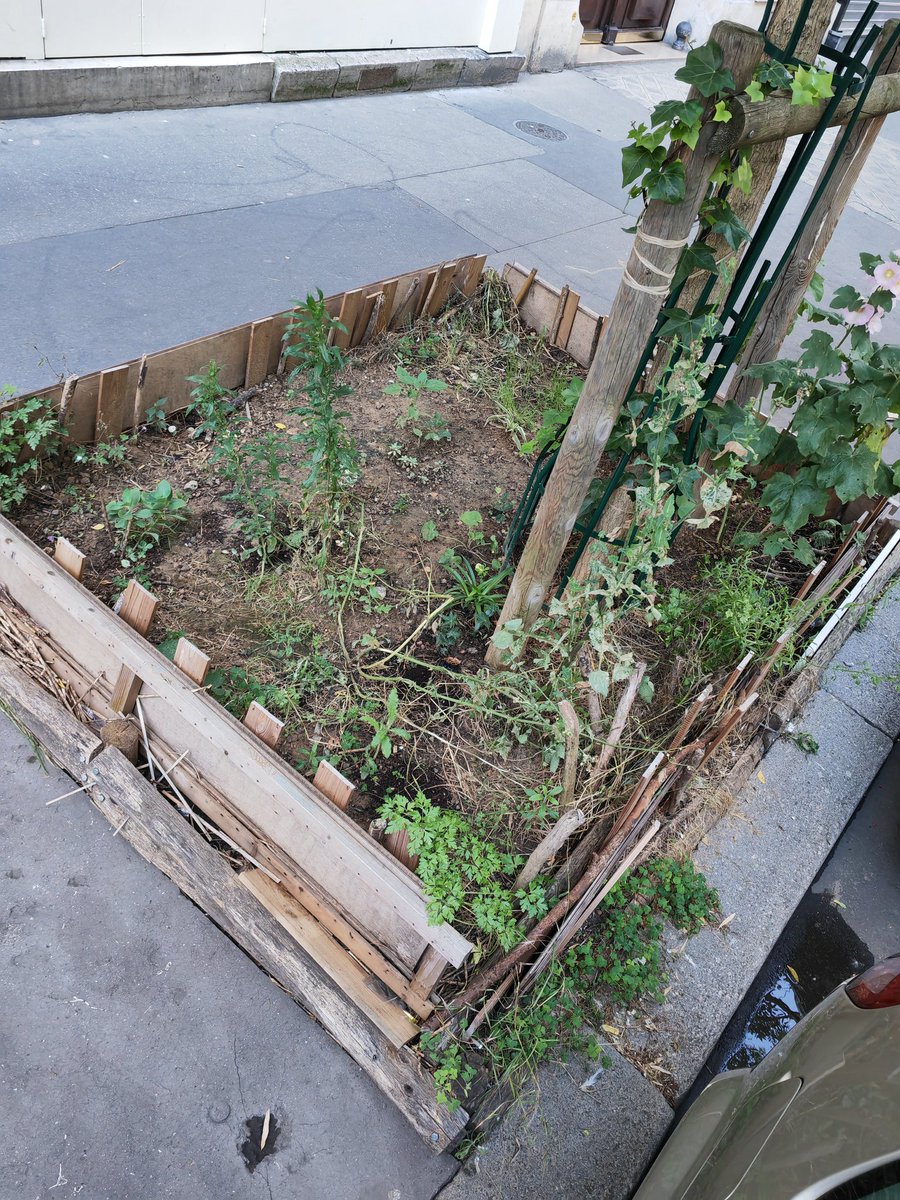 FBRIEG's tweet photo. @EPierreMarie @AssoAurore @Eleonore_S @ManonHavet @egregoire 🤔Et fière des trottoirs du 12ème jonchés de détritus retenus par les célèbres "arbres jardinés", véritables dépottoirs Zadistes disséminés partout❓
votre #saccageparis vous va si bien.
Le MOCHE partout : pourquoi punir ainsi les habitants du 12ème❓
ESCROLOGIE =argent dilapidé https://t.co/MHiw8DAOjV