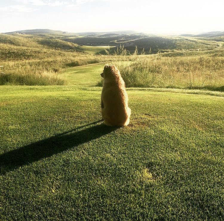 Clay Payne tweet media