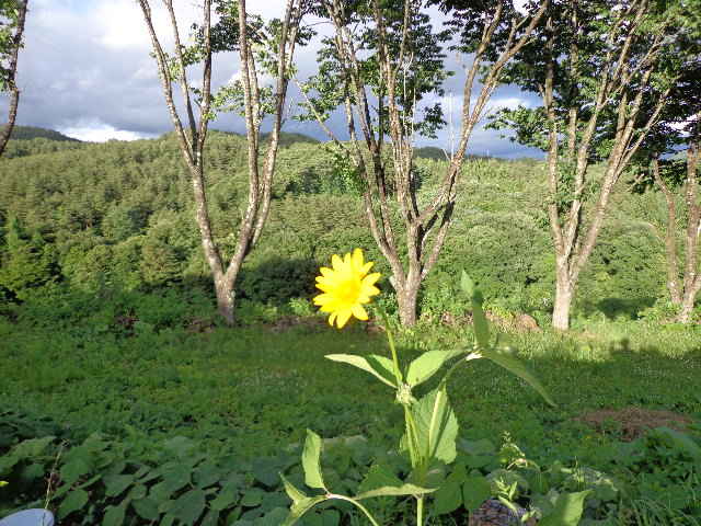 mkiibilet's tweet photo. #photography #landscape #weedbreak
morning https://t.co/Dy8csKi027