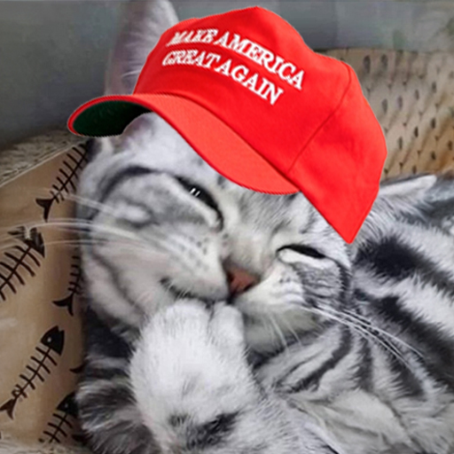 emionsol's tweet photo. trump is pro crypto which means hes pro $emi! https://t.co/YesySI6t0I