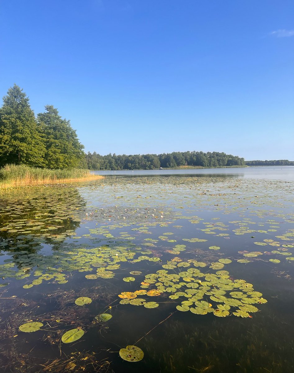 Rheinsberger Impressionen. 

#Brandenburg 
<a href="/MusikRheinsberg/">Musikkultur Rheinsberg gGmbH</a>