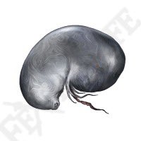 NP_4V's tweet photo. why they put larval tears on the pizza https://t.co/EHkrcdGafB