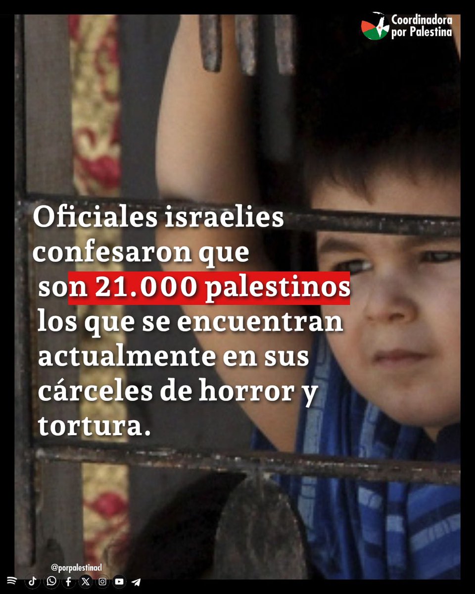 ‼️‼️‼️‼️‼️‼️‼️‼️‼️‼️‼️‼️
Documento filtrado del jefe de la Inteligencia Interna sionista Ronen Bar, muestra que la cifra de prisioneros palestinos en las cárceles israelíes es de 21.000, no 9.400 como se afirma oficialmente. ⬇️