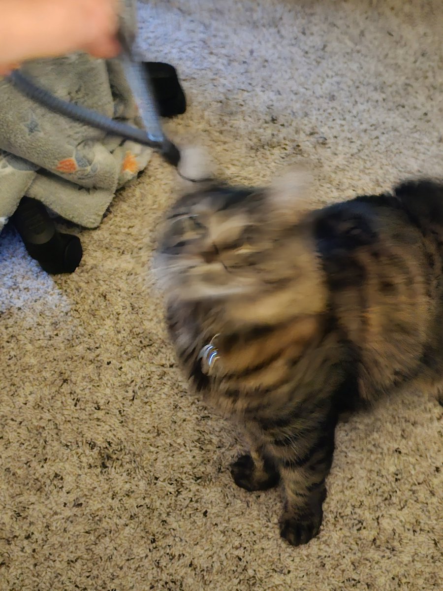 MagicBananazzz's tweet photo. I love blurry pictures of my son https://t.co/u7yRWMIUAi