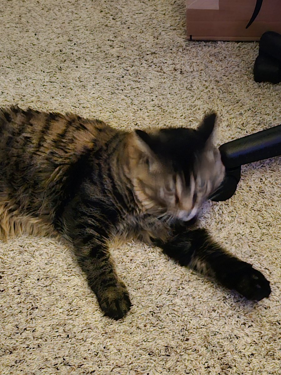 MagicBananazzz's tweet photo. I love blurry pictures of my son https://t.co/u7yRWMIUAi