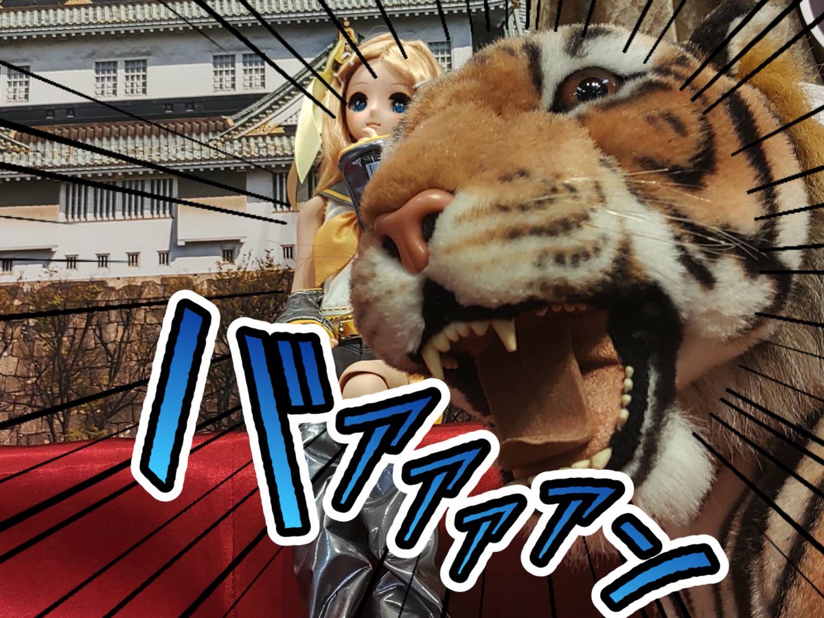 dollrin1227's tweet photo. 前の虎で遊んだ写真
圧がすごい https://t.co/KyPAX4PMvD