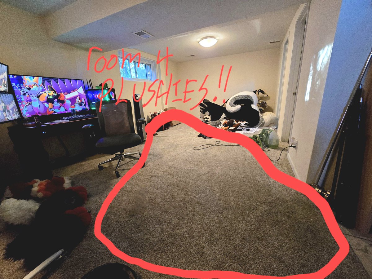 Schecter wolfy tweet media