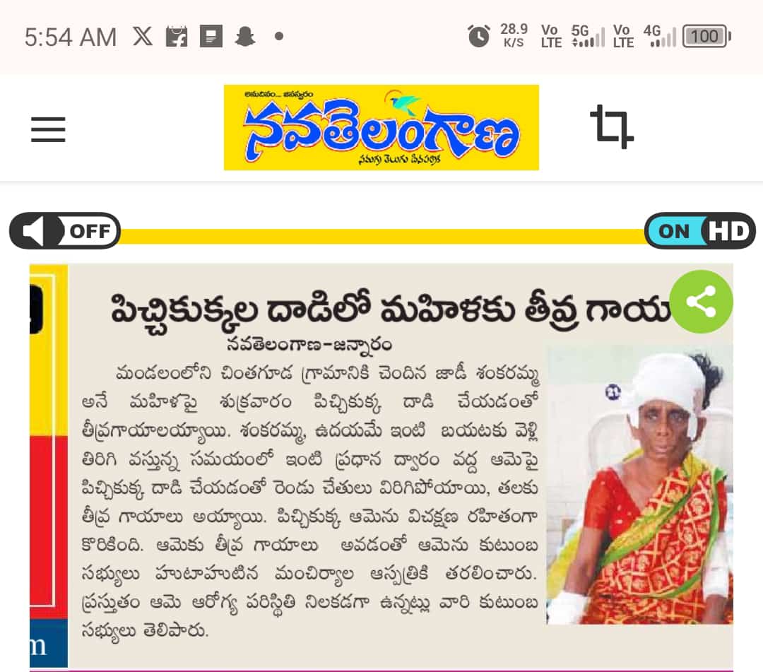 bhumesh_netha's tweet photo. జన్నారం మండలం చింతగూడెం గ్రామం లో వీధి కుక్కలు కాలి నడకన వెళ్తున్న విద్యార్థుల పై దాడి చేస్తున్నాయి. అలాగే పెంపుడు జంతువులను చంపివేస్తున్నాయి.. https://t.co/ywjsNGS4I3