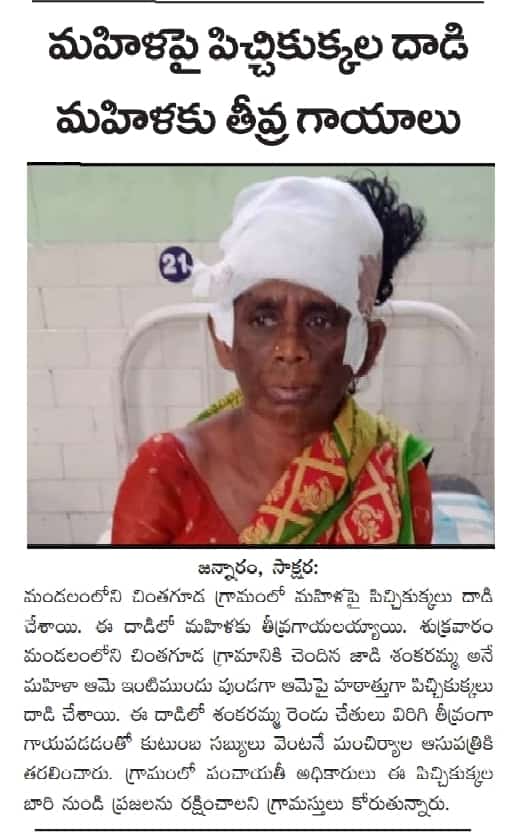 bhumesh_netha's tweet photo. జన్నారం మండలం చింతగూడెం గ్రామం లో వీధి కుక్కలు కాలి నడకన వెళ్తున్న విద్యార్థుల పై దాడి చేస్తున్నాయి. అలాగే పెంపుడు జంతువులను చంపివేస్తున్నాయి.. https://t.co/ywjsNGS4I3