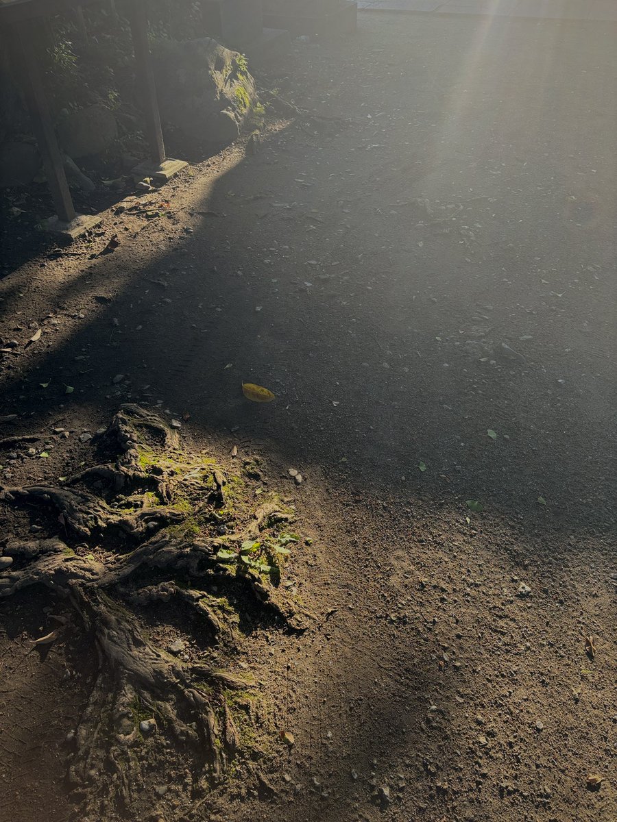 どんなに心が苦しくても辛くても、常に別世界のように穏やかな空気を纏っていて、華美では無く、自分の今住んでる土地をや人を見守ってくれているからいつどんな時も人々を受け入れ魂ごと包み込んでくれる、それが神社というものだと思う